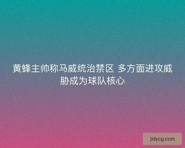 黄蜂主帅称马威统治禁区 多方面进攻威胁成为球队核心